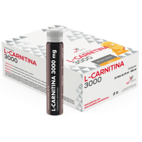 L-CARNITINA FIALE 3G BOX 24 PEZZI Keforma