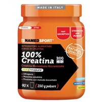 100% CREATINA 250G Named Sport